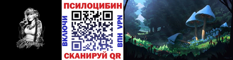 Галлюциногенные грибы Psilocybine cubensis  Купить закладки  Надым 